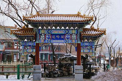 策略冒险游戏《龙女：烈焰之令》 现已在Steam发售